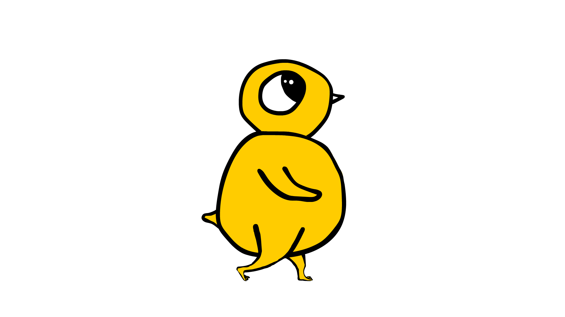 Pollito