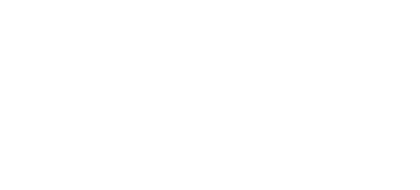 VIDI